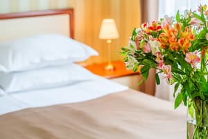 Отель Панская Гора. Люкс двухместный  1