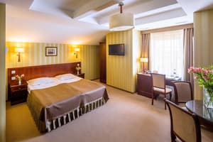 Отель Панская Гора. Полулюкс двухместный  3