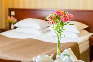 Отель Панская Гора. Улучшенный двухместный  5