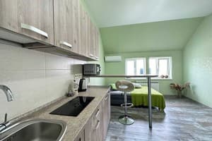 Апарт-отель Park Apartments. Стандарт двухместный с кухней 8