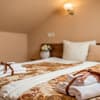 Отель Писанка СПА&Hotel. Полулюкс 4-местный  3