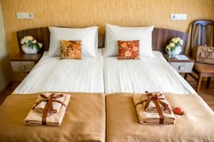 Отель Писанка СПА&Hotel. Стандарт двухместный Twin 2