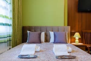 Апарт-отель Poznyakoff Aparthotel. Эконом двухместный 284 3