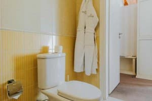 Отель Premier Geneva Hotel. Люкс двухместный с балконом 10