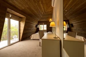 Отель Premier Geneva Hotel. Полулюкс двухместный (Премьер) 2