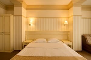 Отель Premier Geneva Hotel. Полулюкс двухместный (Премьер) 4