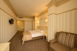 Отель Premier Geneva Hotel. Полулюкс двухместный (Премьер) 5