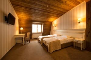 Отель Premier Geneva Hotel. Полулюкс двухместный (Премьер) 7