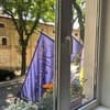Отель Престиж. Стандарт двухместный с кроватью 6