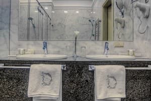 Отель Ribas Duke. Люкс двухместный  5