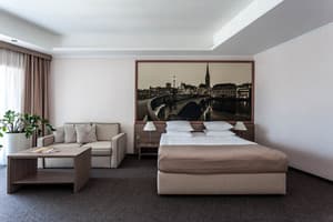 Отель Rius. Полулюкс двухместный  8