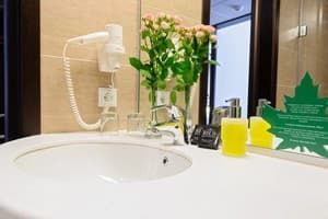 Отель Rius. Стандарт двухместный  3