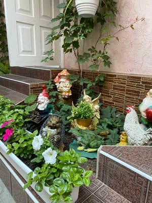 Розовый Дом 8