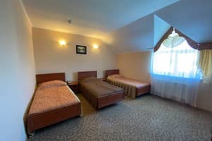 Отель СВ. Стандарт трехместный  2