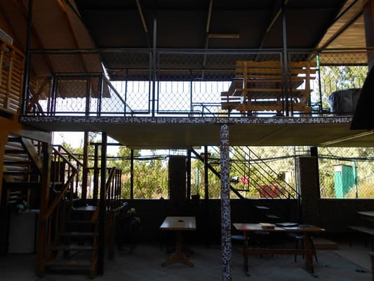 Семь гномов 12