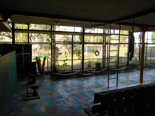 Семь гномов 14