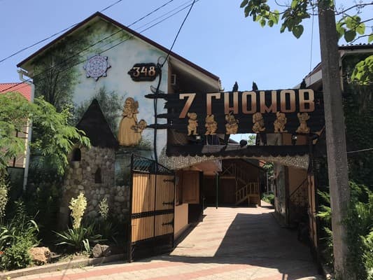 Семь гномов 25