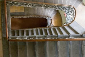 Сердце Льва (Lion's Heart) 2