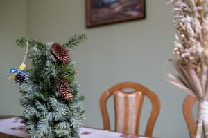 Сердце Льва (Lion's Heart) 3