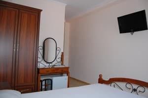 Отель Шато. Стандарт двухместный с двуспальной кроватью 1