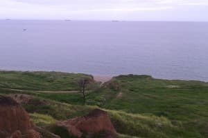 Шевченковский 8