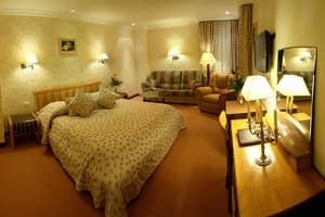 Отель Швейцарский. Полулюкс двухместный  4