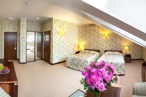 Отель Швейцарский. Улучшенный двухместный  5