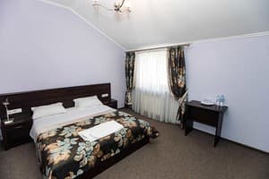 Гостинично-ресторанный комплекс Скіфія. Стандарт двухместный 21 1