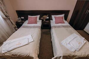 Гостинично-ресторанный комплекс Скіфія. Стандарт двухместный 32 с раздельными кроватями 2