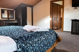 Гостинично-ресторанный комплекс Скіфія. Стандарт двухместный 34 1