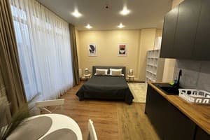 Апарт-отель Smart House Apartments. Люкс двухместный  12