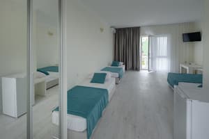 База отдыха Солнечная-Позитив. Делюкс 4-местный семейный с балконом 1