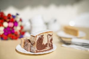 База отдыха Солнечная-Позитив. Стандарт двухместный с двумя раздельными кроватями 1