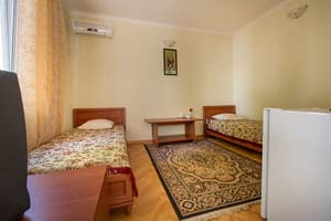 База отдыха Солнечная-Позитив. Стандарт двухместный с двумя раздельными кроватями 5