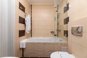 Отель Соната. Люкс двухместный  18