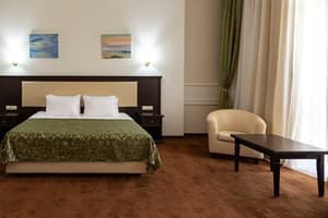 Отель Stadium Park Hotel. Полулюкс двухместный  3