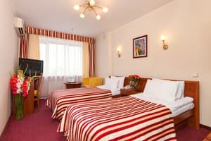 Отель Супутник. Бизнес двухместный  4