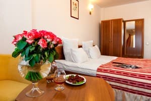 Отель Супутник. Бизнес двухместный  1