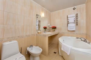 Отель Супутник. Люкс двухместный двухкомнатный 5