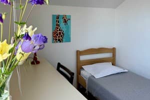 Коттедж Таунхаус в Одессе у моря. Коттедж 4-местный  5