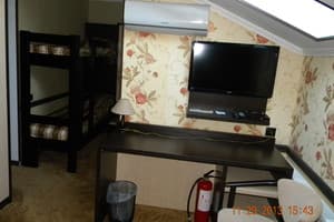 Отель Терра 7+. Эконом трехместный  3