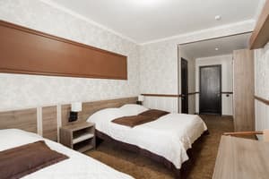 Отель Терра 7+. Стандарт трехместный  6