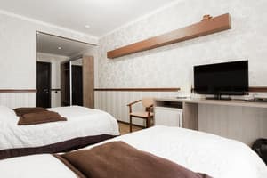 Отель Терра 7+. Стандарт трехместный  8