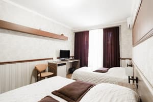 Отель Терра 7+. Стандарт трехместный  10