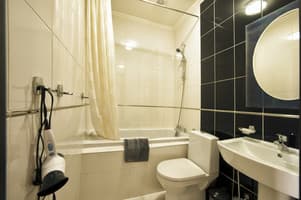 Отель Терра 7+. Студио 4-местный  4