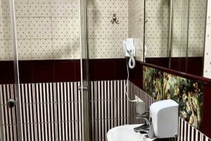 Отель Тремпель. Полулюкс двухместный № 5 5