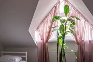 Апарт-отель Trend House. Апартаменты 5-местный  3