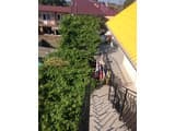 Мини-отель В Лад и Мир