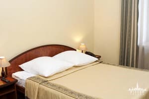 Отель Вена. Стандарт двухместный Double 1