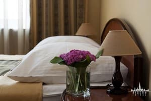 Отель Вена. Улучшенный одноместный 1